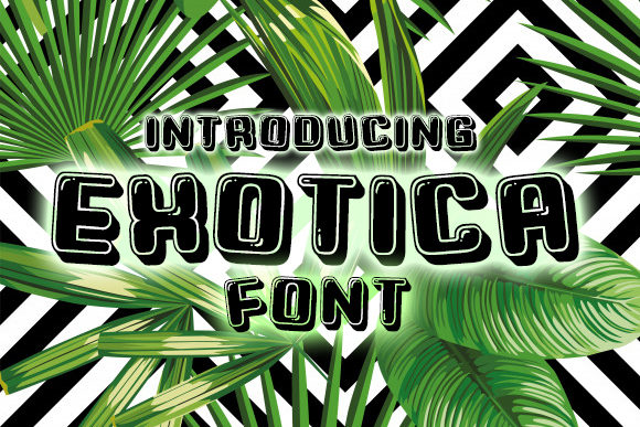 Exotica: A Playful Display Font for Branding