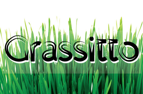Grassitto: A Bold Display Font for Authentic Brands