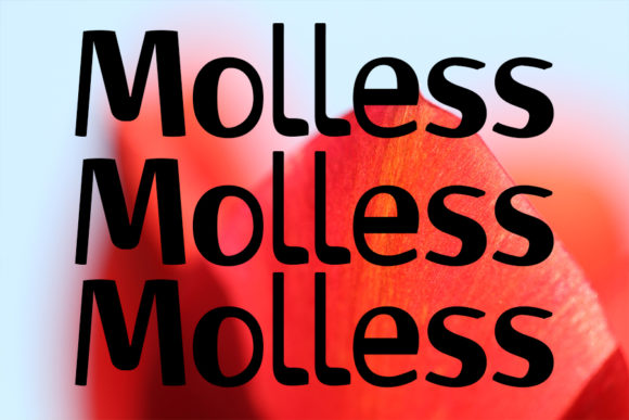 Molless: A Designer’s Honest Review