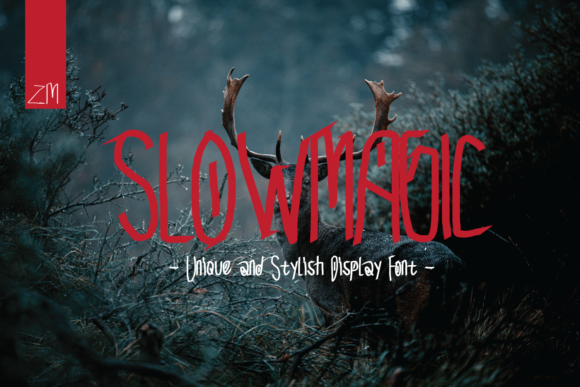 Slow Magic: A Typeface for Calm Editorial Design